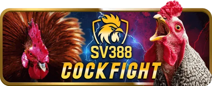 Các tính năng nổi bật của Fun88